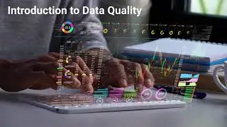 Introduction to Data Quality