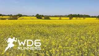 WD6 trails: Letchmore, Radlett, Elstree Aerodrome & Aldenham