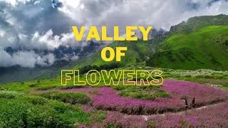 Valley of Flowers Trek | Heaven on Earth | Valley of Flowers National Park & World Heritage Site 4K