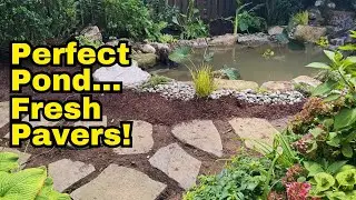 Finishing This Pond in the Rain! Fresh Pavers, New Waterfall & Happy Koi (Part 2)