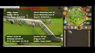 Rsbots.net AutoWoodcutter Pro