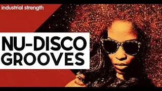 Sample Pack - Nu Grooves Disco
