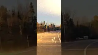 #usaaccident #usavideo