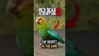 Parakeets In RDR2 #shorts #rdr2