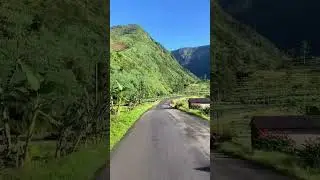 SIRANGKEL GARUNG WONOSOBO | JAWA TENGAH #shorts #shortvideo #wisata #trend #viral #trending