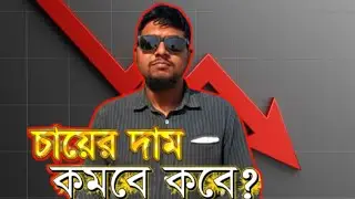 চা পাতার দাম কমবে কবে???  Tea Business. 