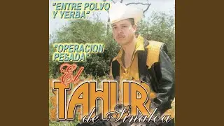 Paque Mesirve la Vida