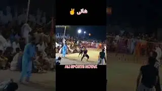 volleyball lover