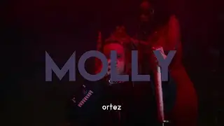 Trippie Redd X Playboi Carti Rage Type Beat - 'Molly' (prod. ortez)