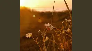 Smell The Rain