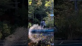 Canoe Portage to a Remote Adirondack Lean To #shorts