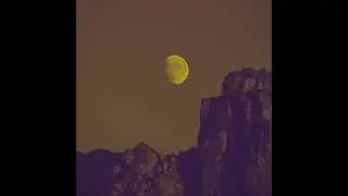 [FREE] Chill Melodic Trap Beat - Kanye Type Beat