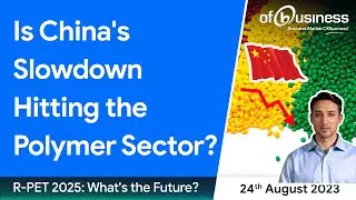 China's Economic Slowdown: HDPE & Petrochemical Crisis | 24 August PolymerNews | Polymer News Live