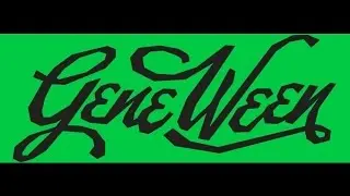 Gene Ween (9/30/15, St. Louis, MO) - Beacon Light