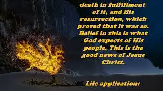 Daily Bible Verse Commentary - Matthew 12:50