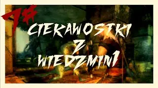 Ciekawostki z gry Wiedźmin #7 Leonardo da Vinci, Easter Egg, Sfinks...