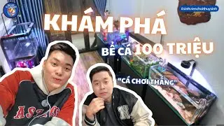 Khám phá dàn bể cá TRĂM CỦ của anh Cá Chơi Thắng