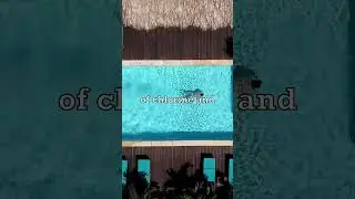 What is The Smell of Swimming Pool?