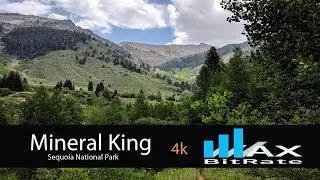 Mineral King - Cold Springs Campground