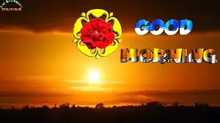 Good Morning Status for Whatsapp | Beautiful Rose Flower Animation Video |