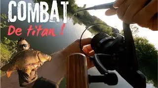P&ecirc;che &agrave; la carpe en rivi&egrave;re , avec un invit&eacute; surprise 😱
