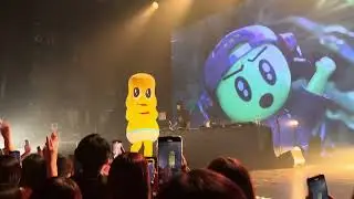 「Yellow Big Header」250628ピーナッツくん ライブ@漢 Kitchen LIVE Fes. 渋谷編
