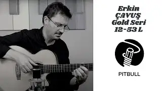 Performans/Erkin ÇAVUŞ & Pitbull Strings GAG 12-53 Gold Seri(Akustik Gitar)