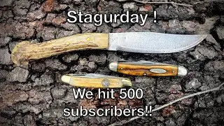 Stag knife setup, and 500 subscribers update! 