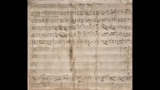 Johann David Heinichen - Te Deum, S.117 {Autograph score}