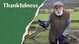 Thankfulness
