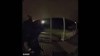 Cat Rings Doorbell Trying To Get Back Inside
