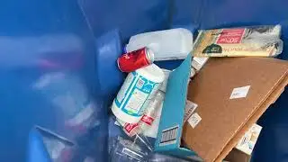 Vvs bin review