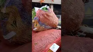 azad pur pineapple 🍍 market