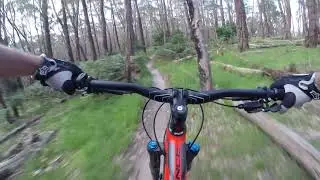 Follow Me trail (full) Lysterfield MTB Park, Victoria