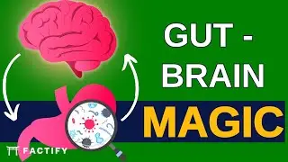 The SECRET Powers of Your GUT Microbiome - Factify