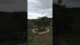 Touring a Property on 10 Acres - Mico Texas