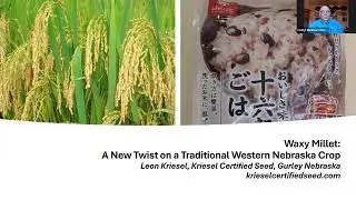 Waxy proso & other millets: Growing, processing & marketing - NAMA Millets Webinar, 15 Jan. 2026