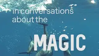 Oceanswell