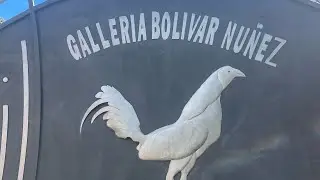 Desde las instalaciones de Bolivar Núñez  
