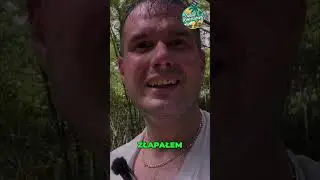 Poślizg na błocie i kolczasty krzak&hellip; tropikalne życie bywa bolesne