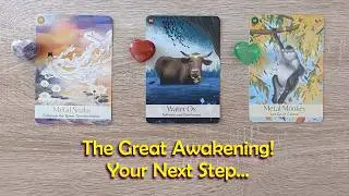 The Great Awakening for Humanity is Happening... What is Your Next Step? 🤩⭐🙏