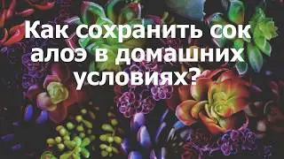 Как сохранить сок алоэ в домашних условиях?