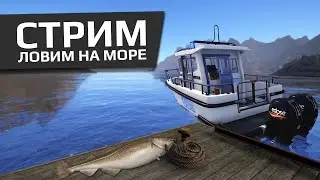 РУССКАЯ РЫБАЛКА 4 - Норвежское море - Треска на Rigal 20 2S / Стрим