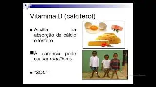 AULA 03 - Nutrição e Dietética - Aminoácidos, Proteínas e Fibras. - 