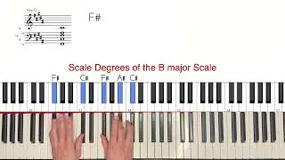 Emperor XIII in Shades Cameron Winter Piano Tutorial