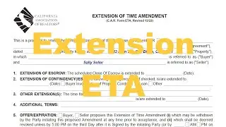 Поправка о продлении срока действия &mdash; форма CAR ETA