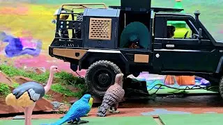 Bird River 🐦  #animals #River #toys 