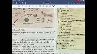 Cellular organization,cell function,Intercellular connection .Study with me .9/1/26