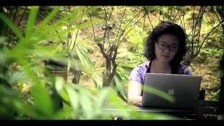 Introduction to the Endeavour Scholarship and Fellowships