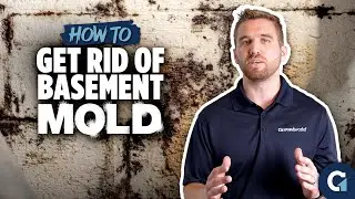 How to Detect, Remove & Prevent Basement Mold | Protect Your Home & Health